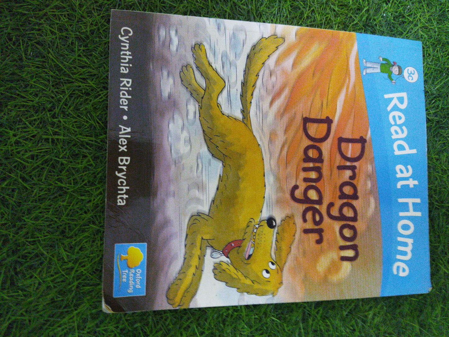 Read at Home Dragon Danger