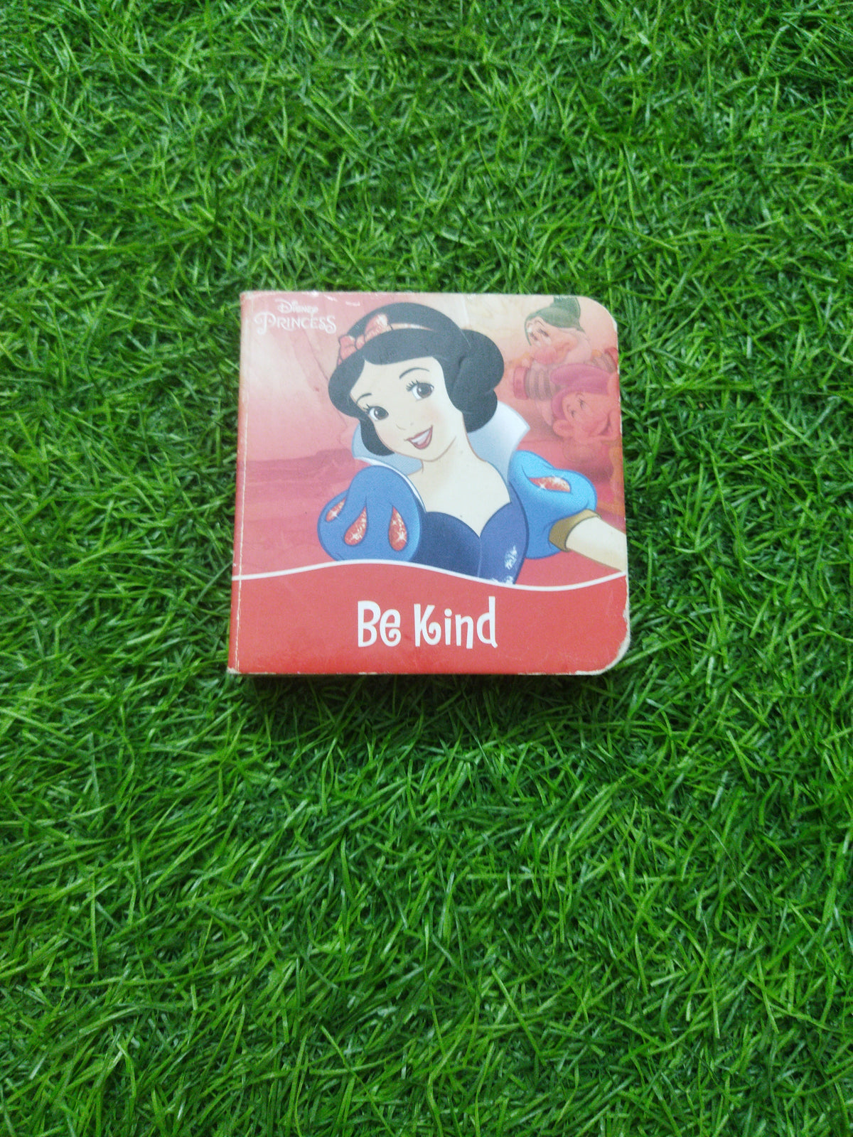 Disney Princess Be kind  mini book