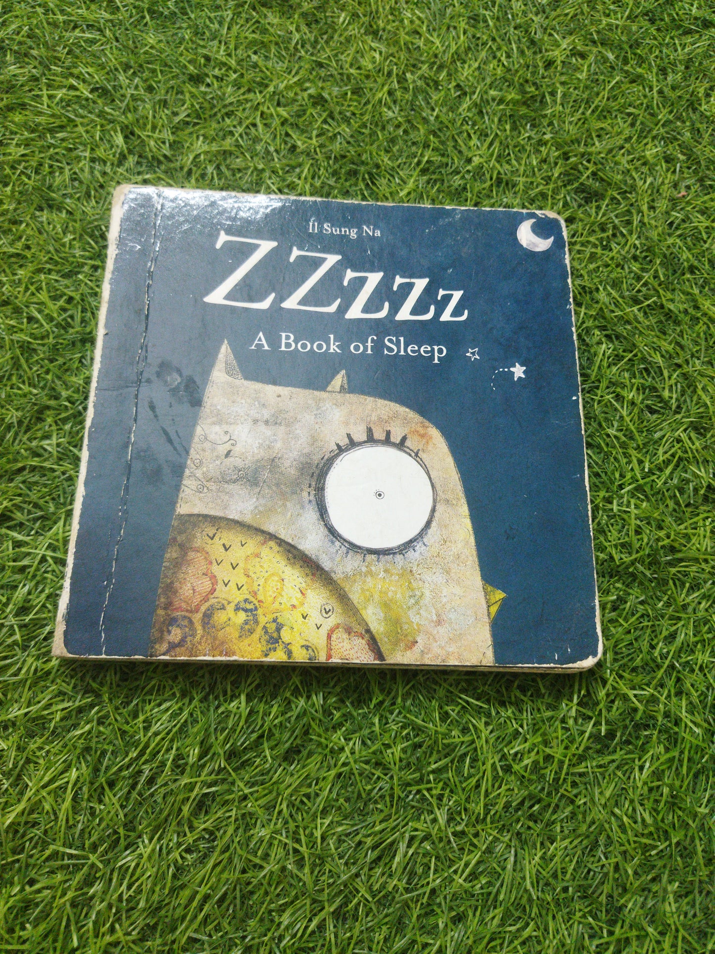 Zzzzzz A book of Sleep