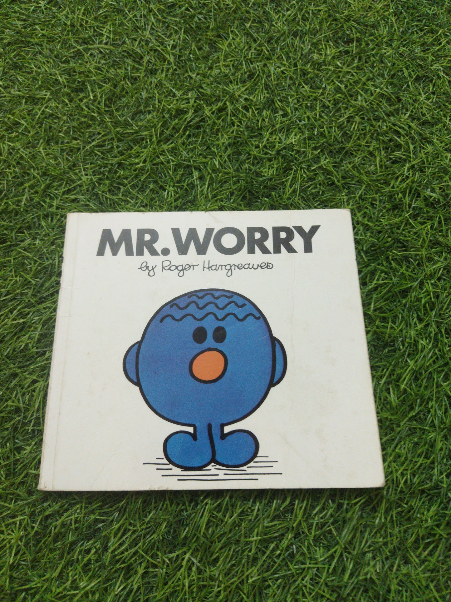 Mr. Worry