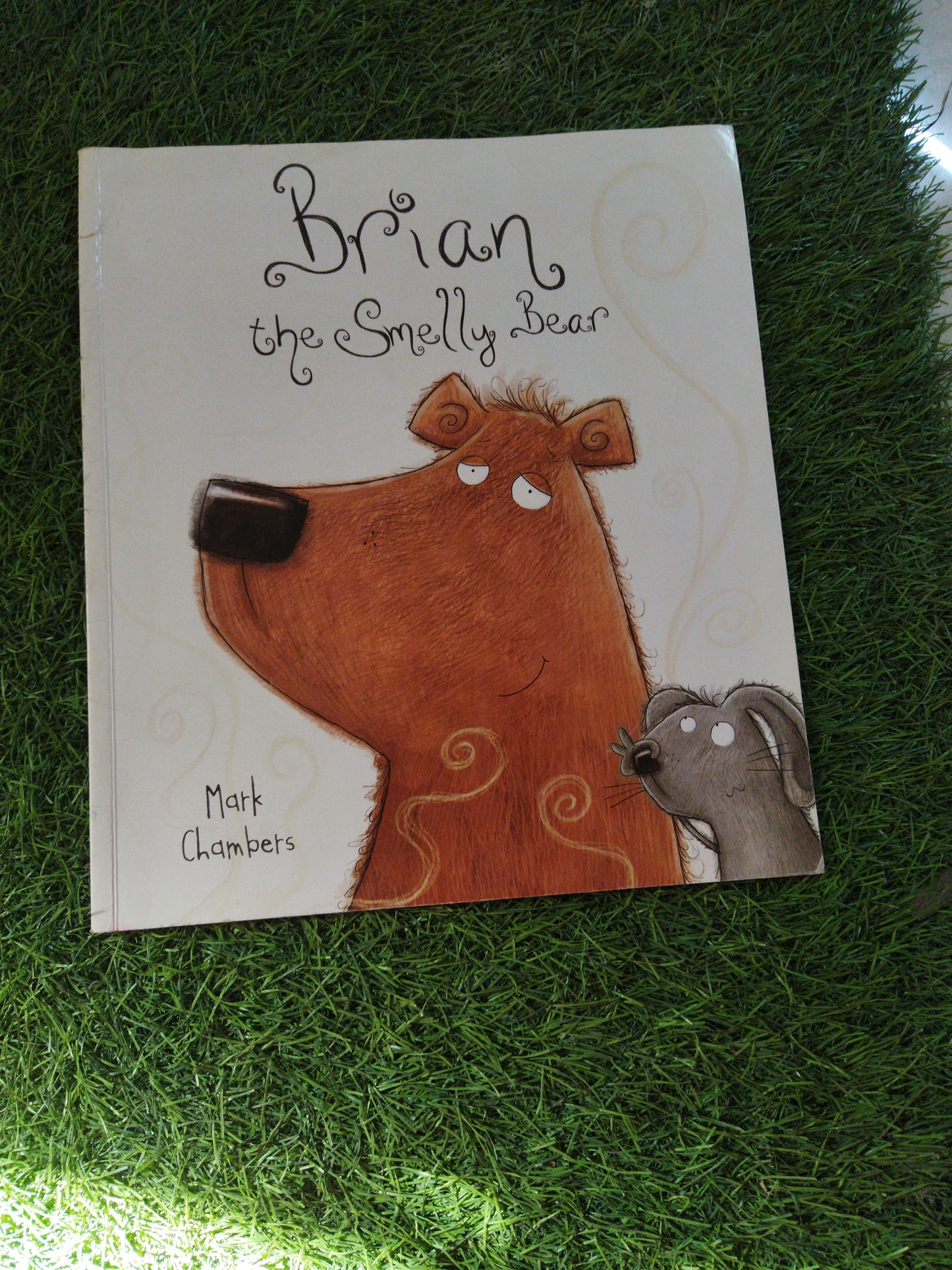 Brain the Smelly Bear