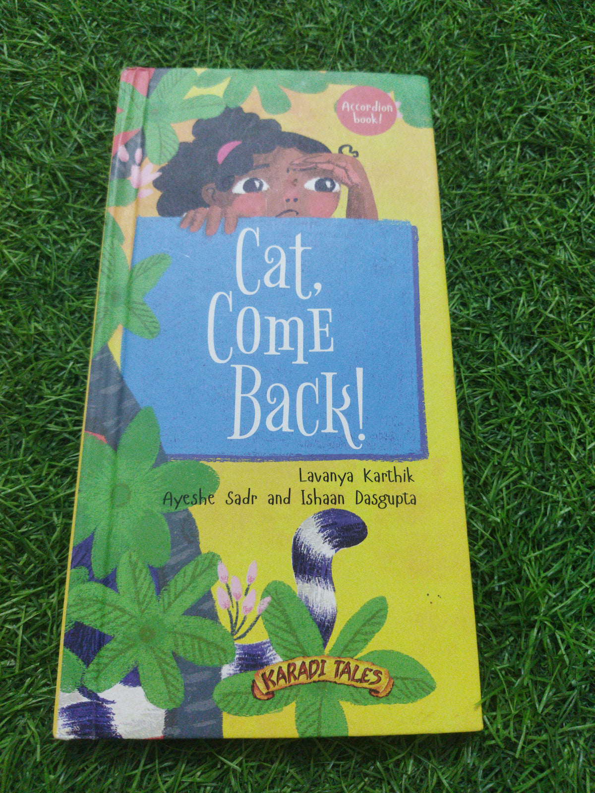 Cat Come Back !