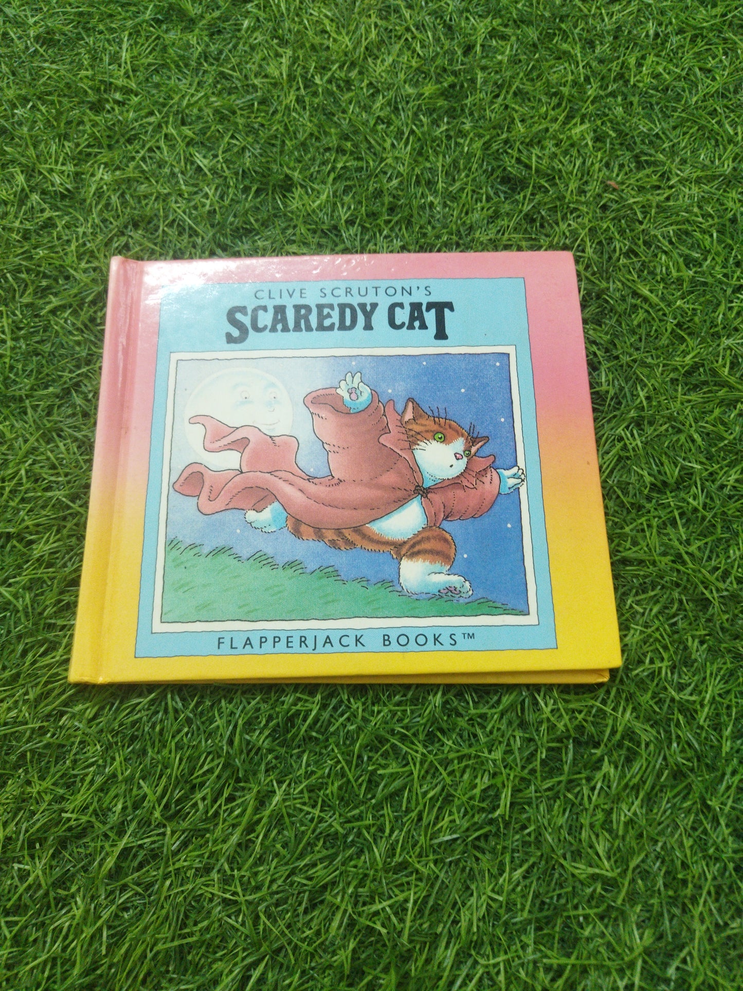 Scaredy Cat