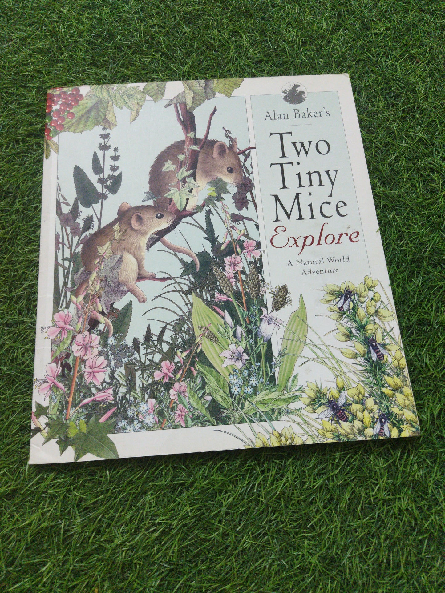 Two Tiny Mice Explore A Natrual World Adventure