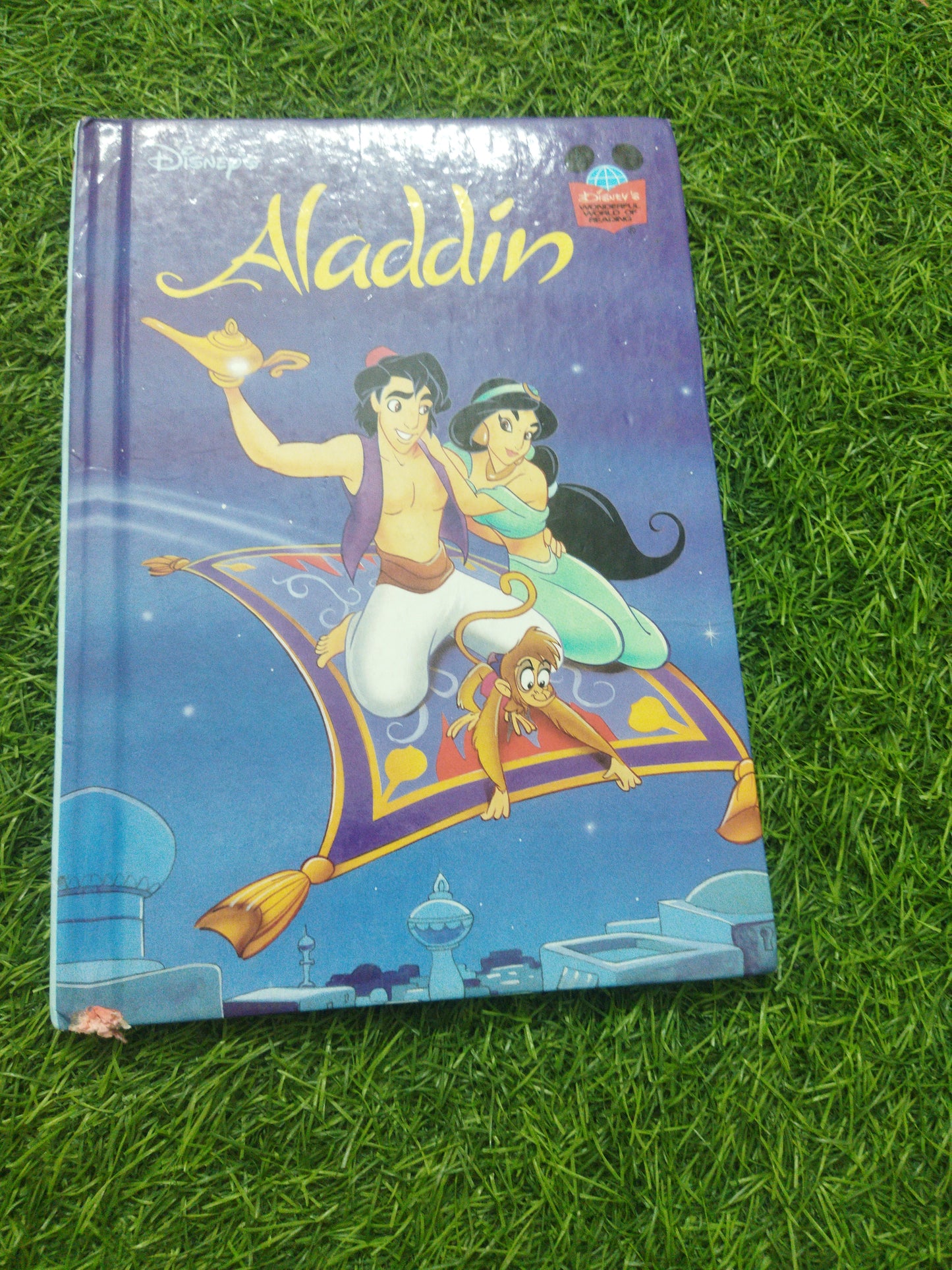 Disney 'S Aladdin