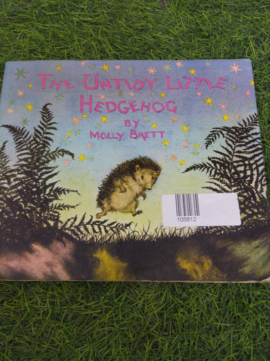 The Untidy Little Hedgehog