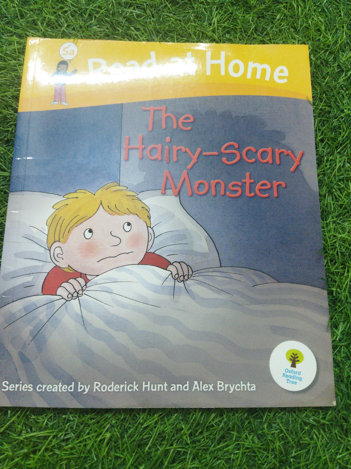 Read at Home The Hairy - Scary Monster