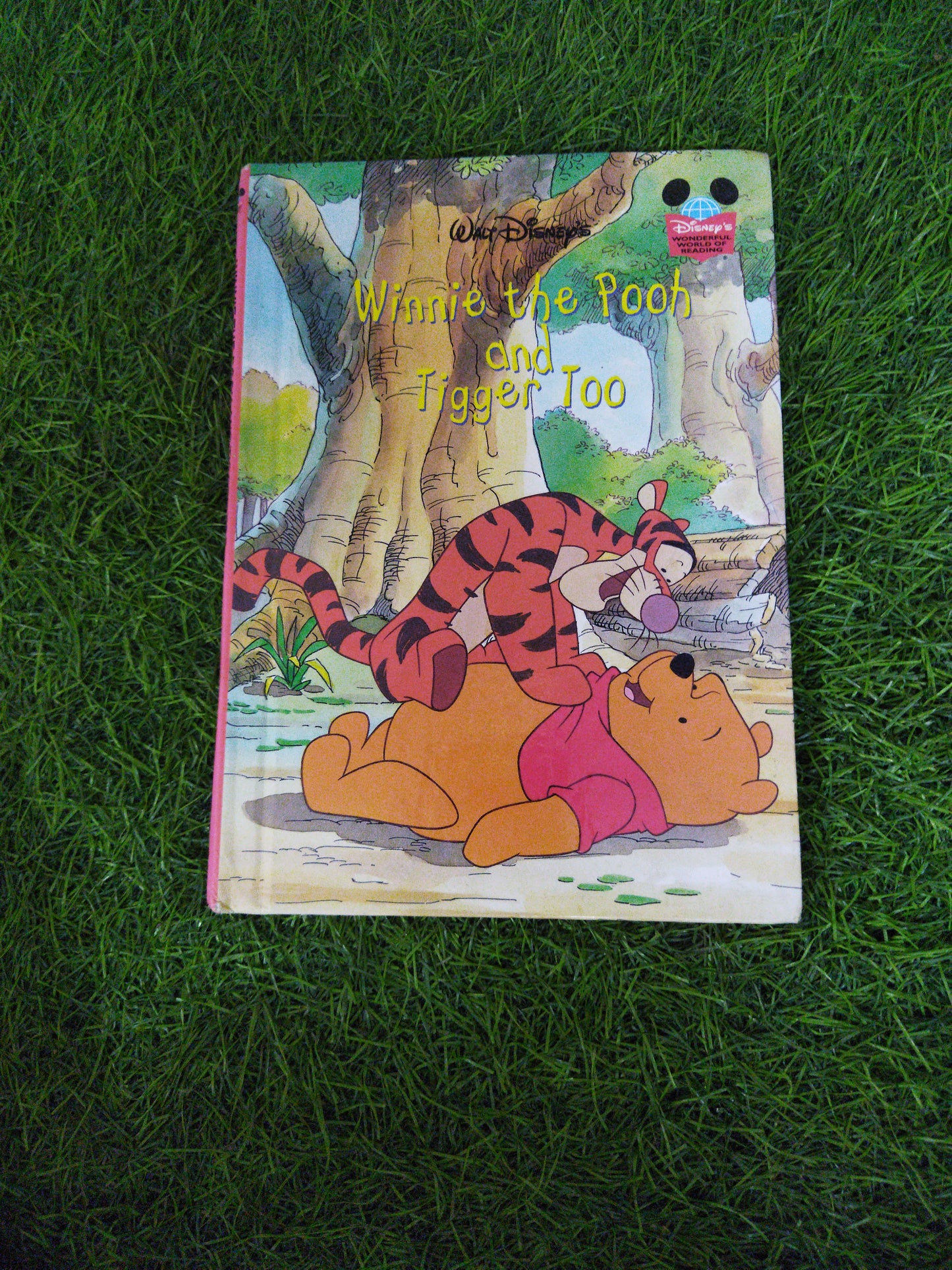 Walt Disney Winnie the pooh and Tiger too