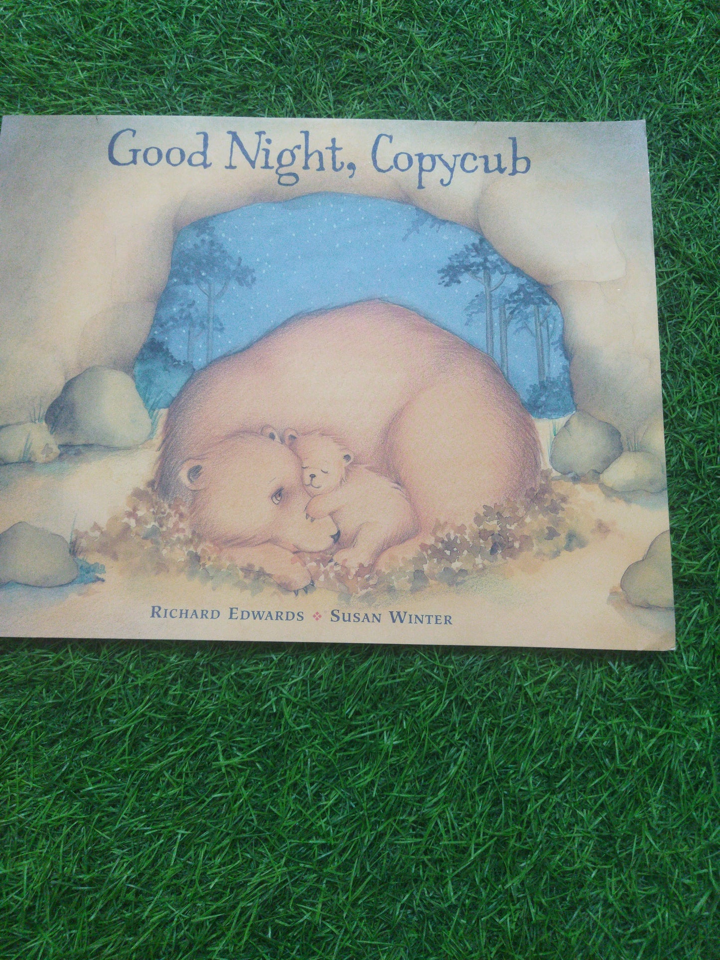 Good Night , Copycub