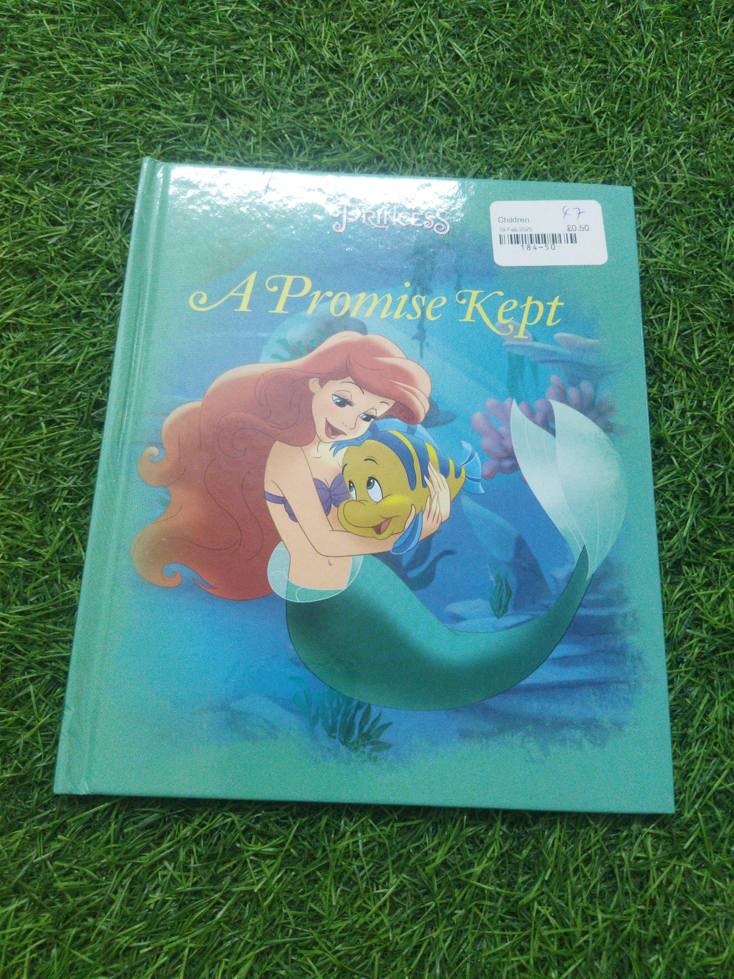 Disney Princess A Promise Kept