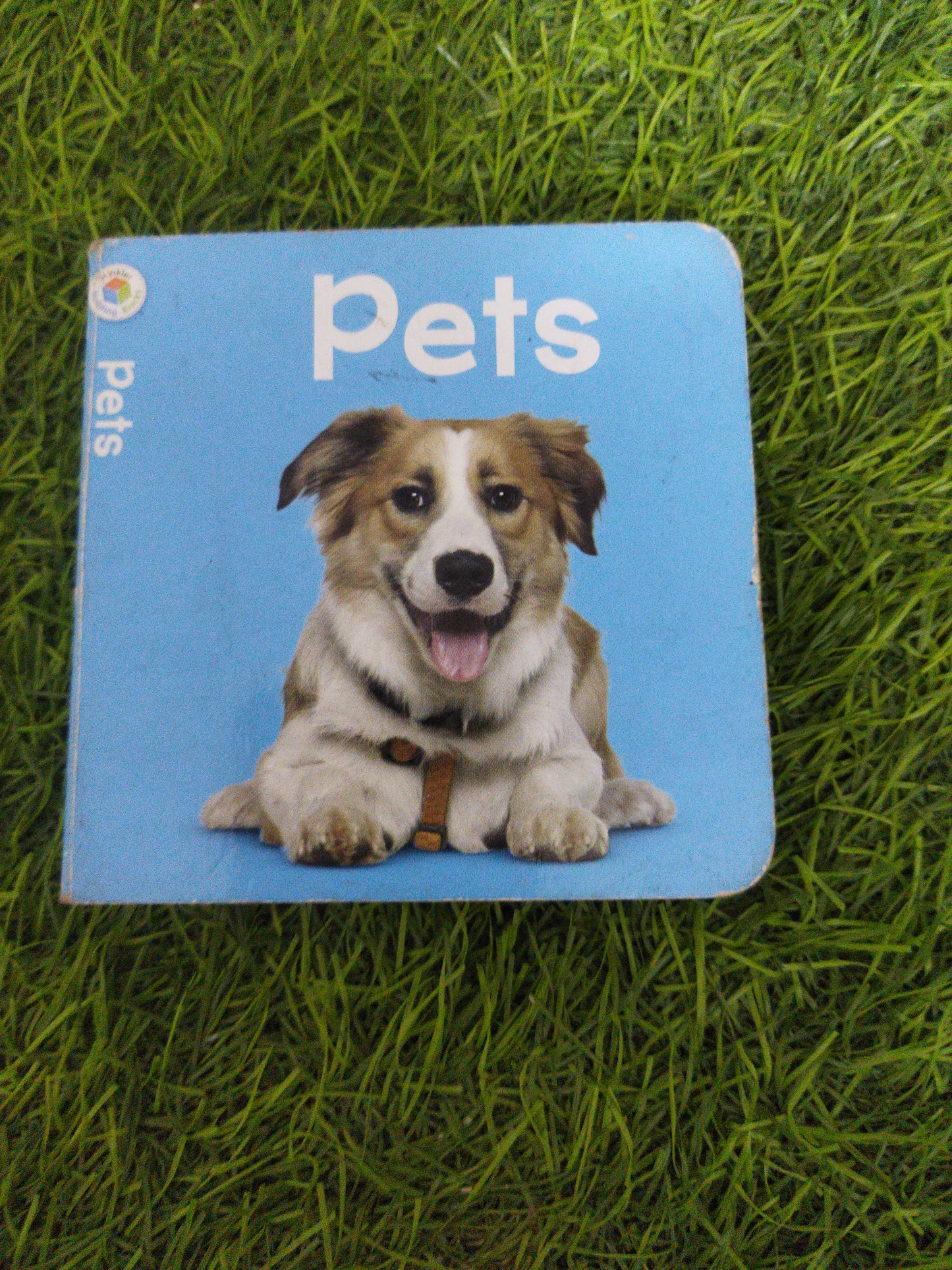 Pets