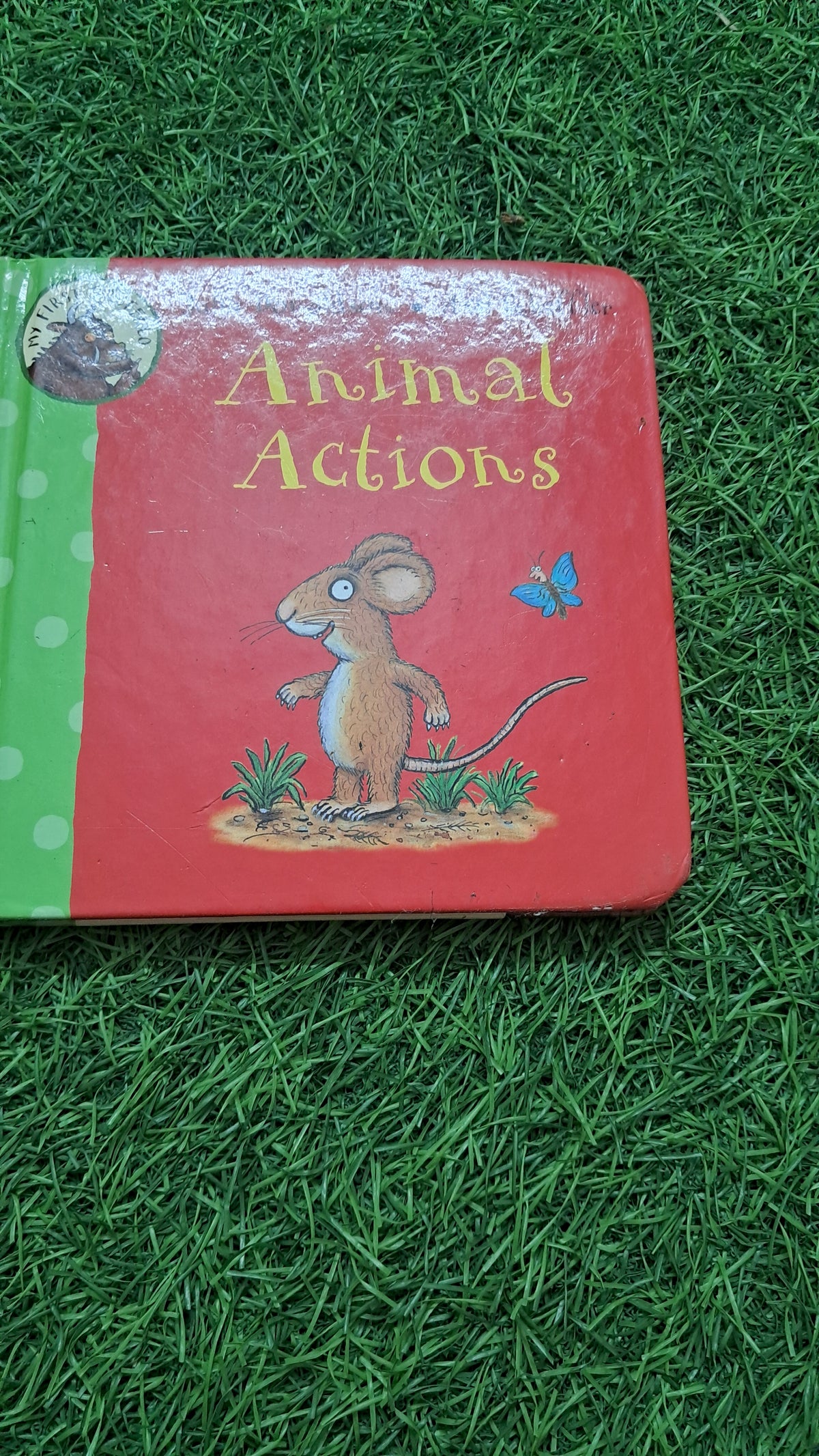 Animal Action