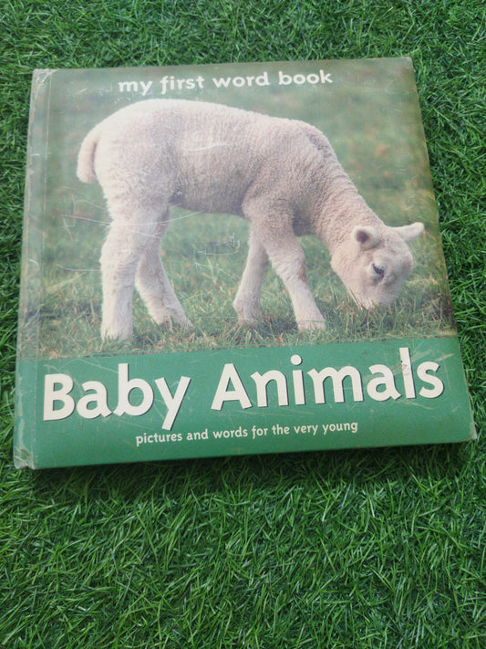 My First word book baby Animals pictures and words for the very young