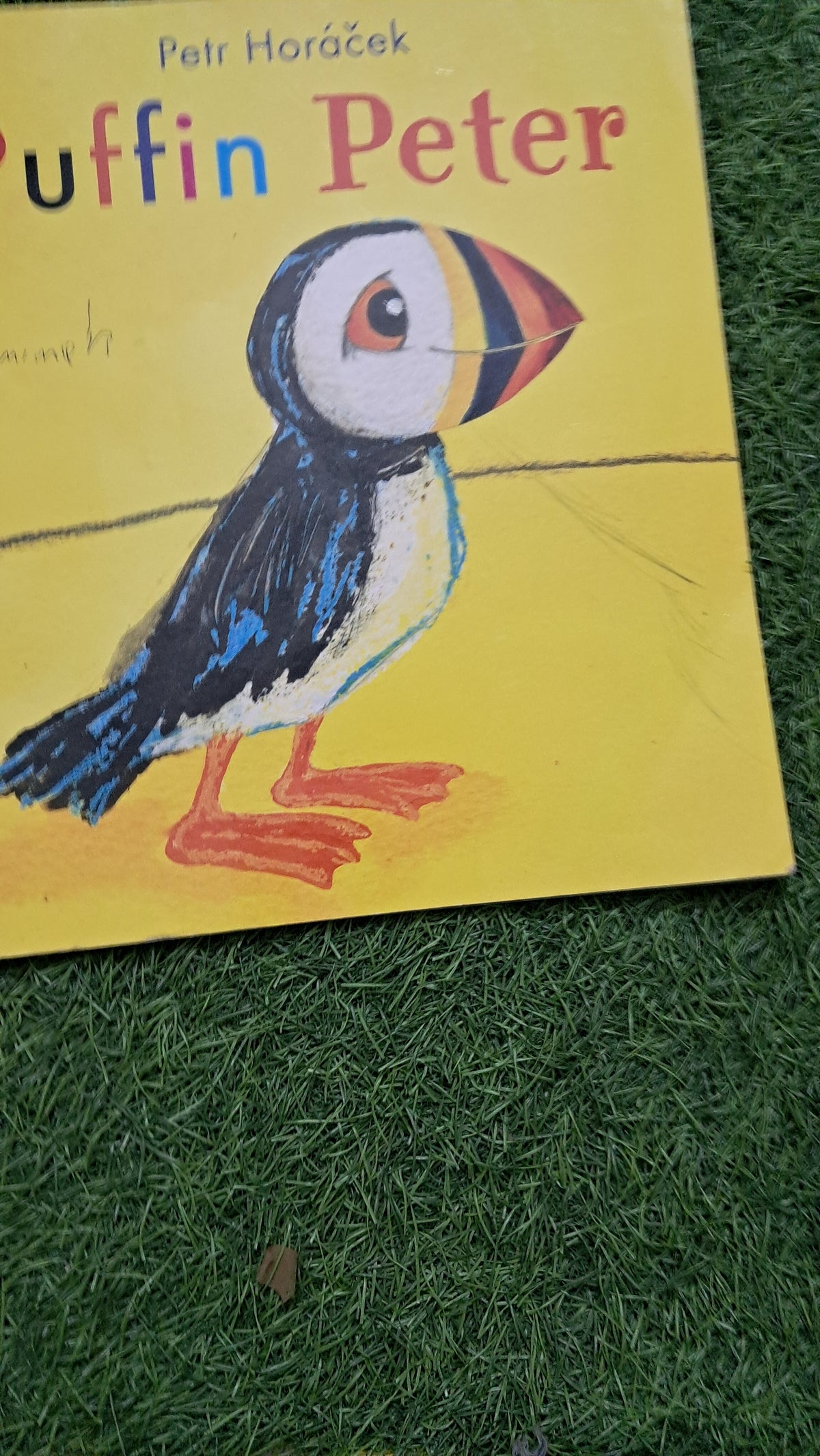 Puffin  Peter