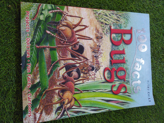 100 Facts Bugs