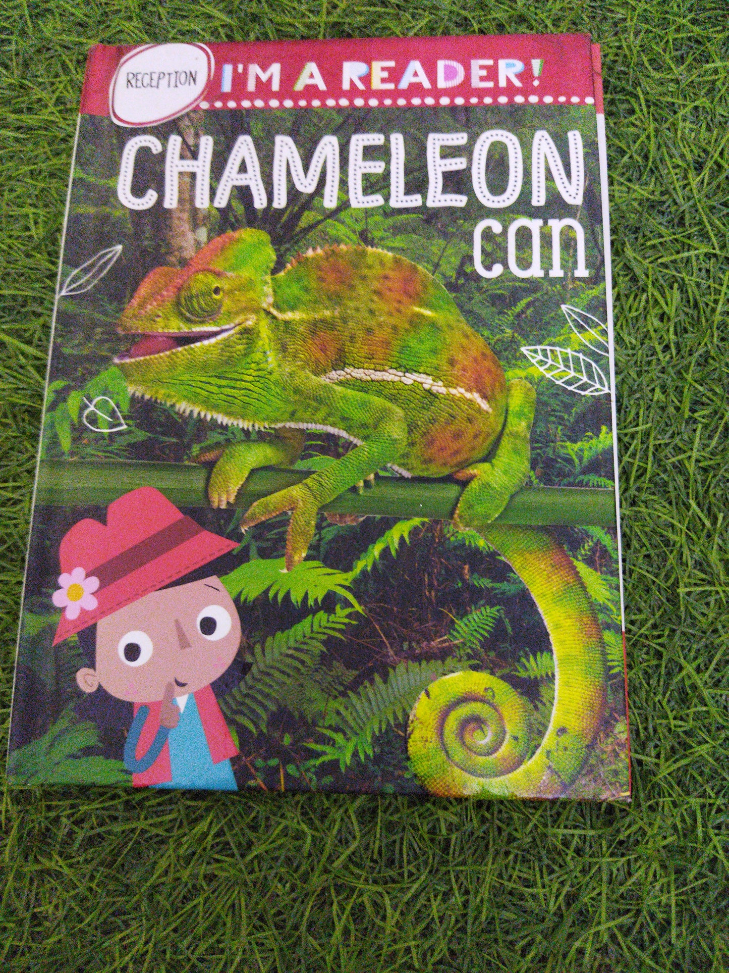 I'M A Reader ! Chameleon can