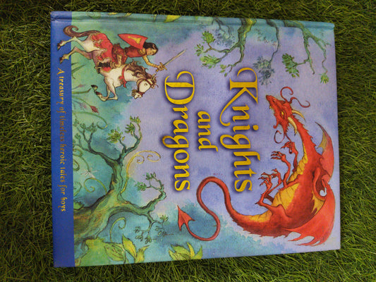 Knights and Dragons