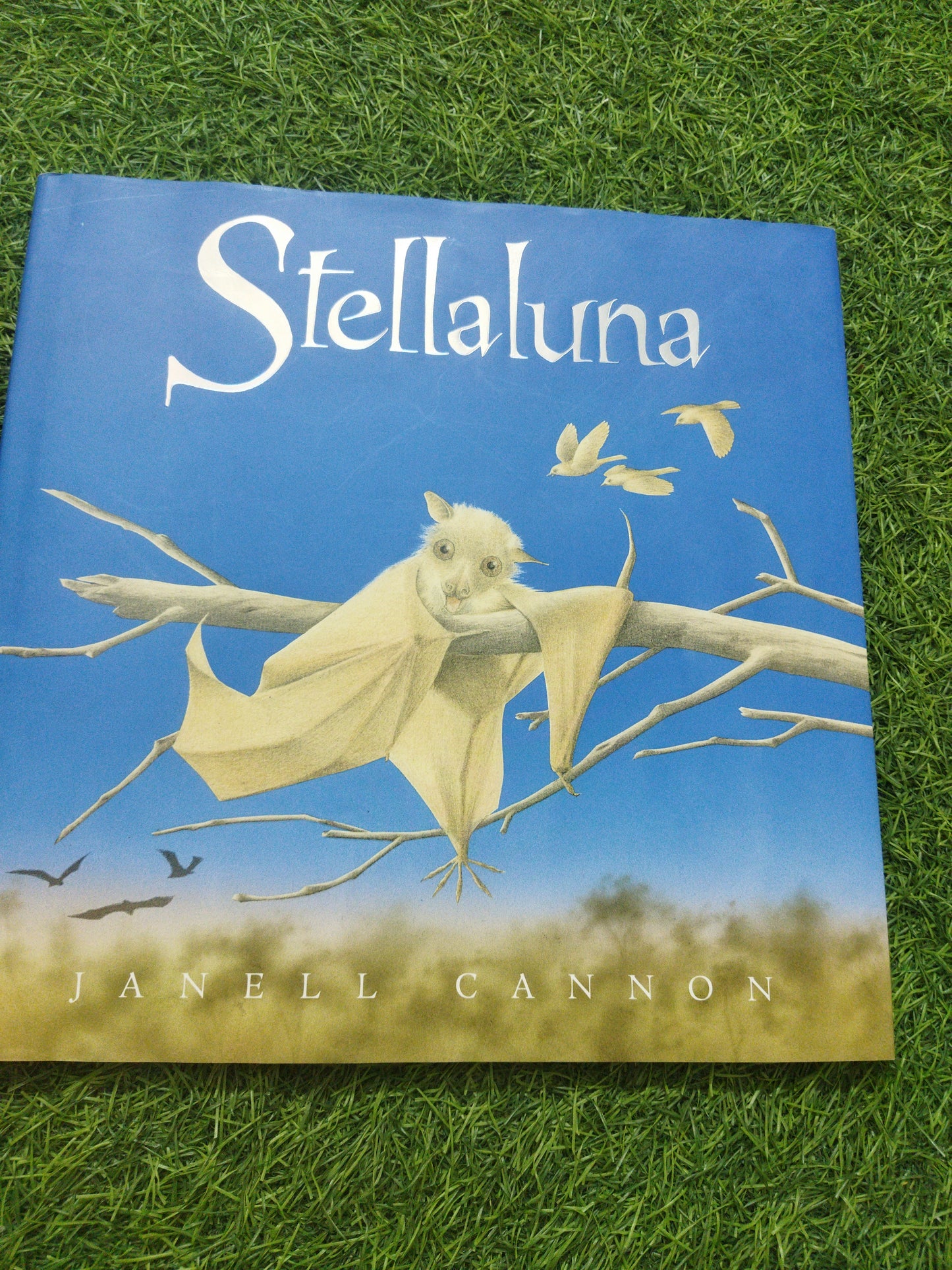 Stellaluna