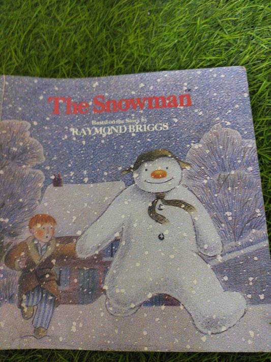 The Snowman  picture Book