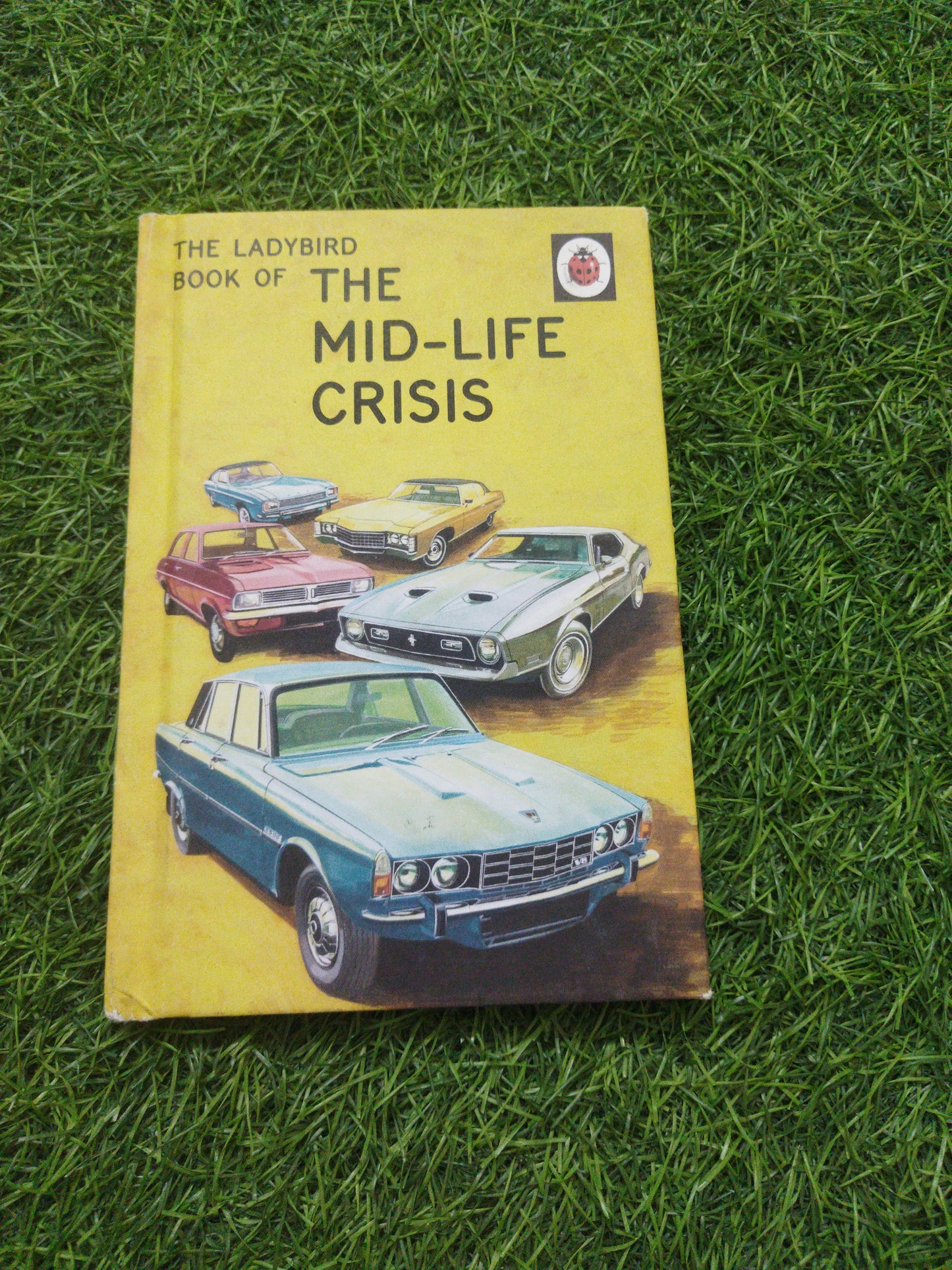 The Ladybnird bok of The Mid-Life Crisis