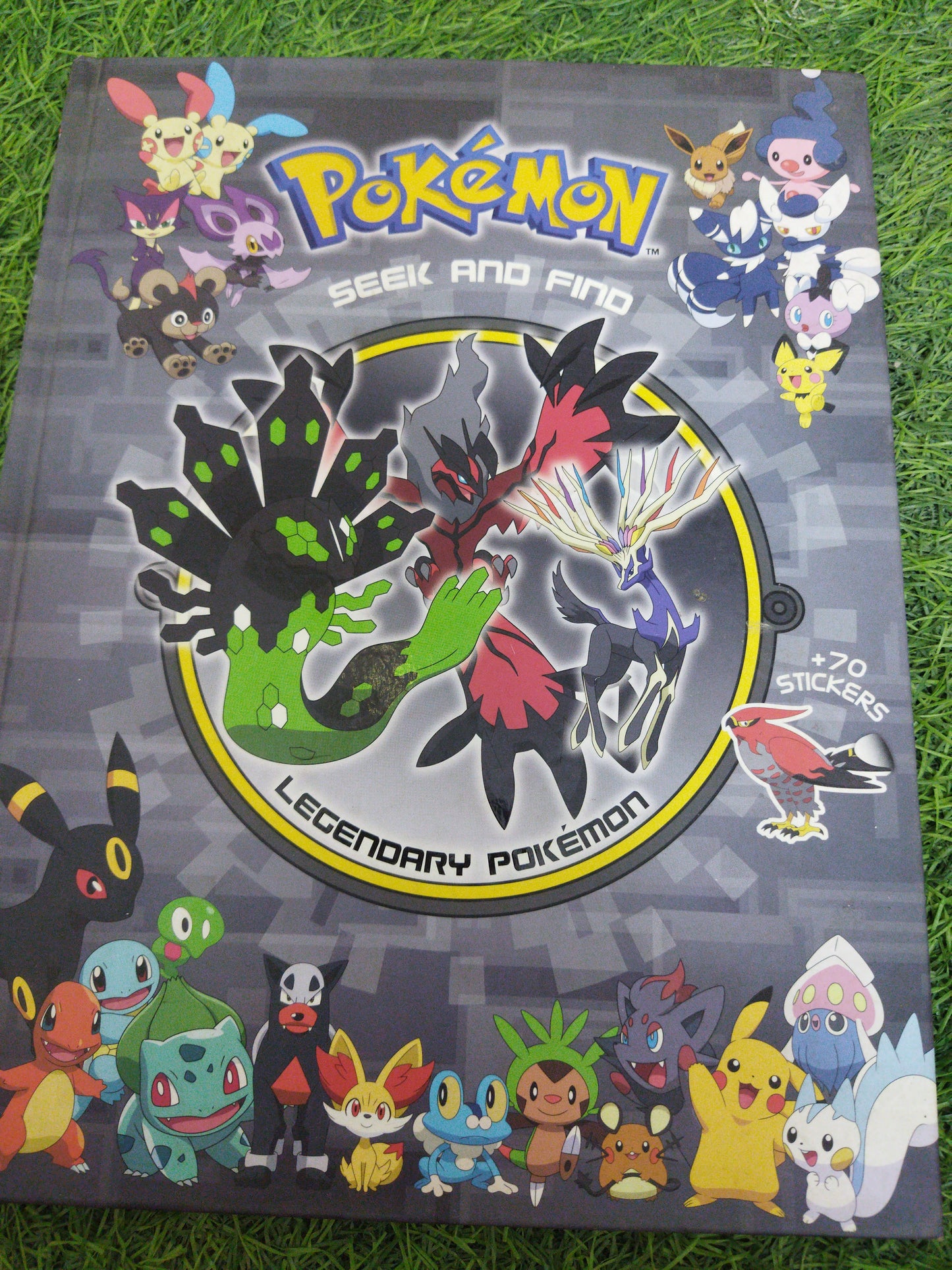 Pokemon seek and find Legendary Pokemon