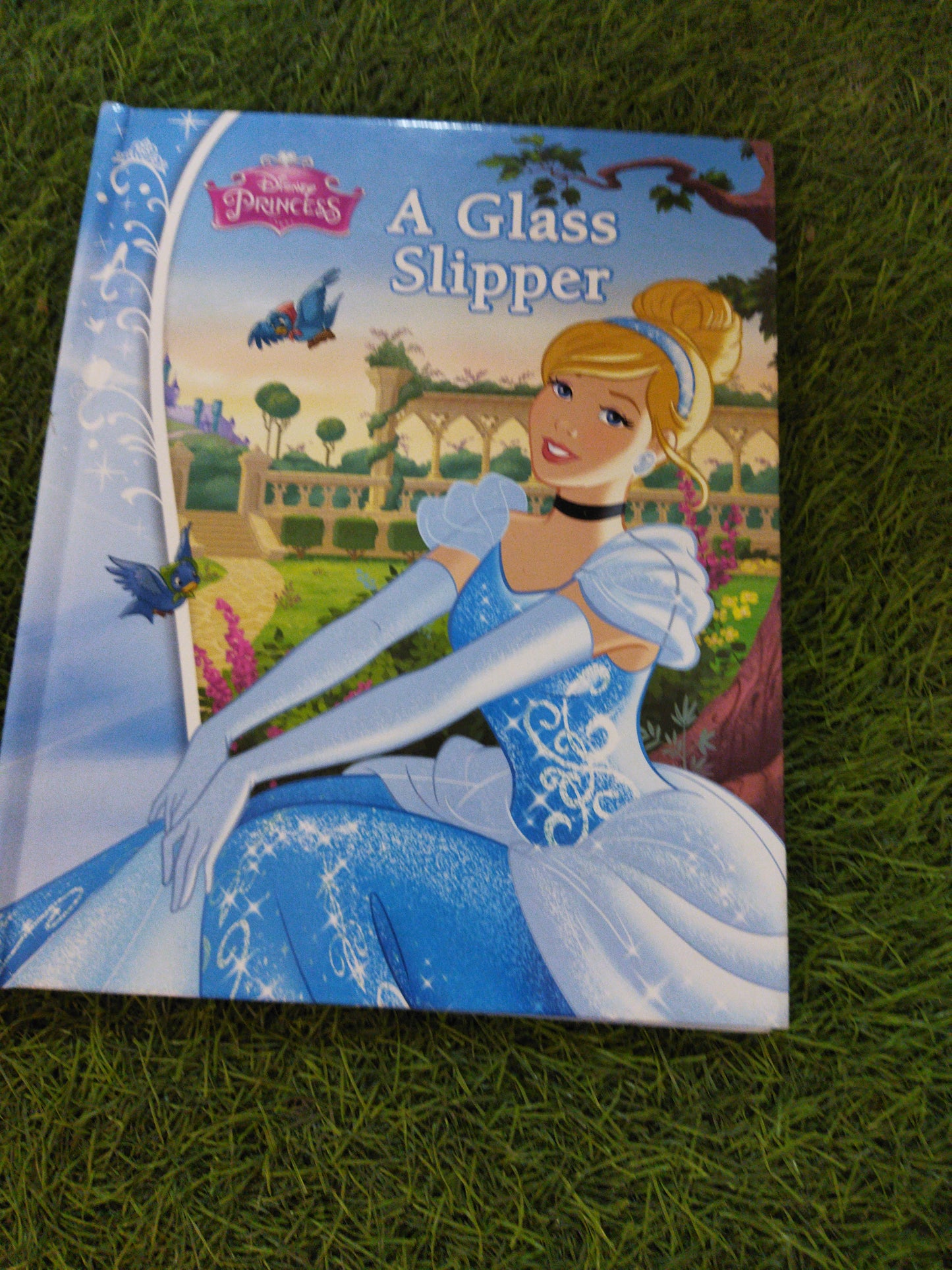 Disney Princess A Glass Slipper