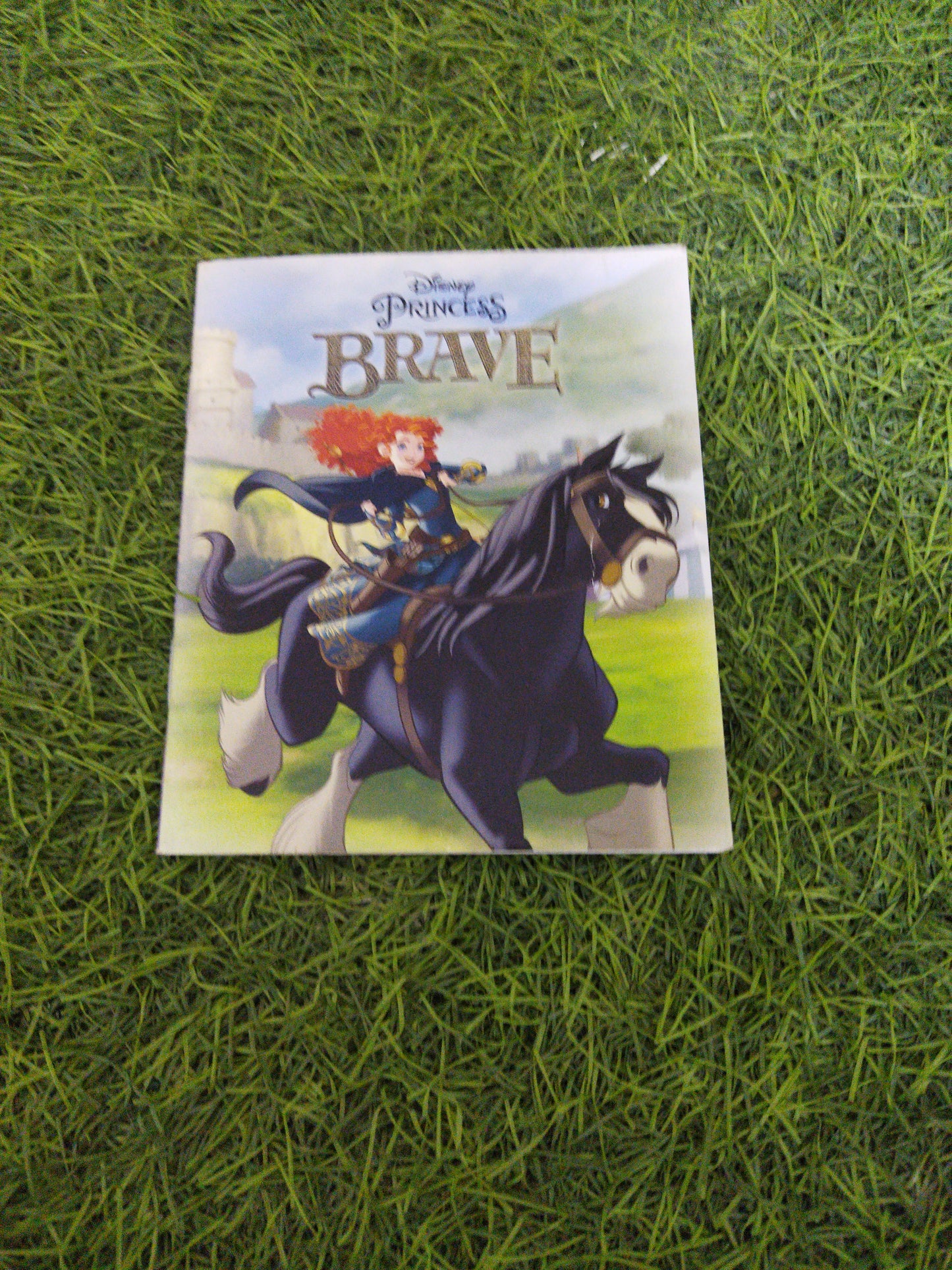 Disney Princess Brave