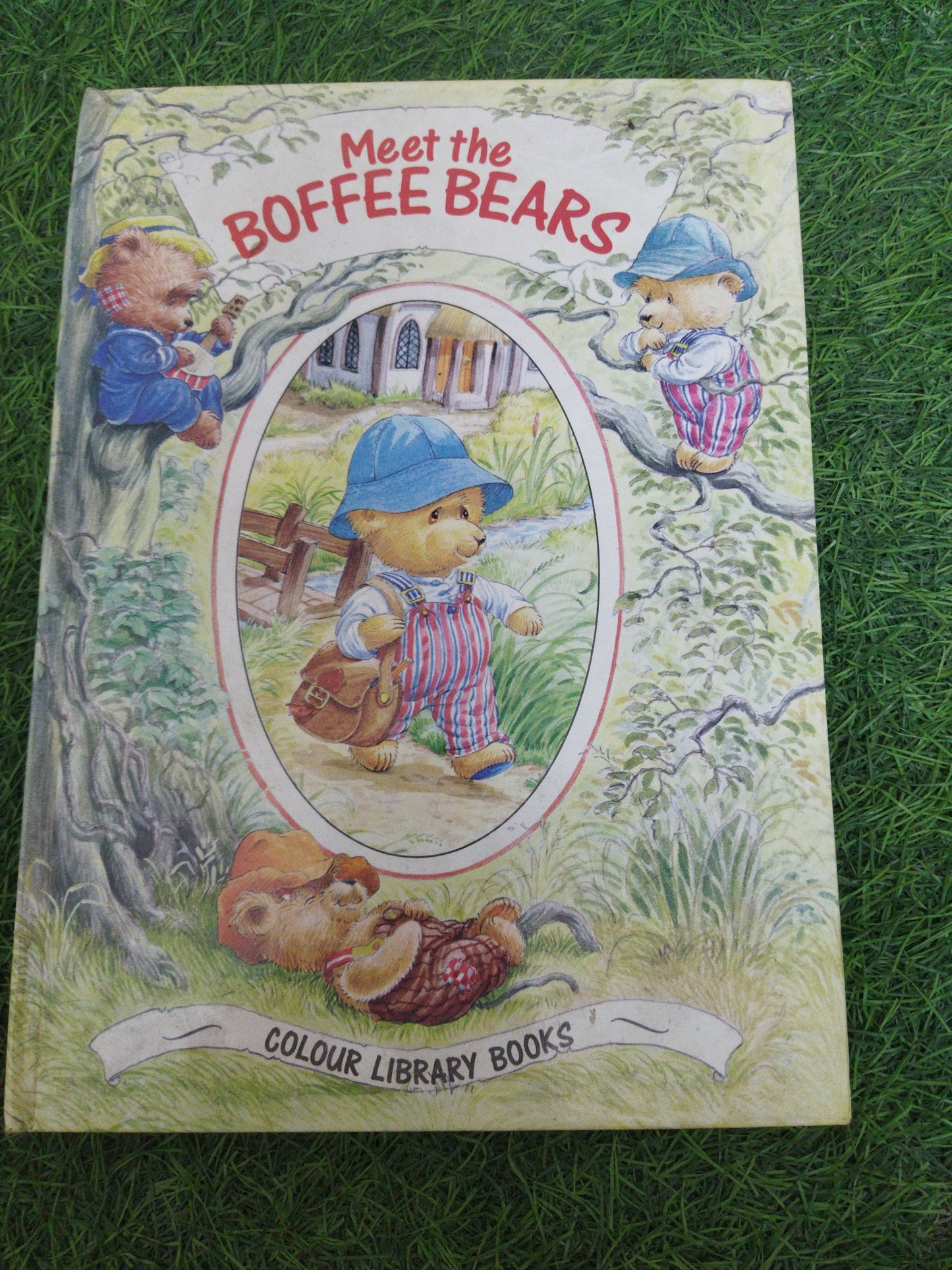Meet The Boffee Bears