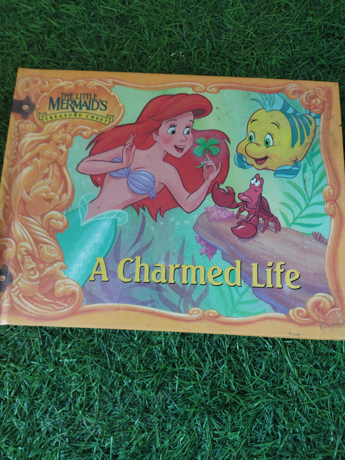 The Little MerMaid's Treasure Chest  A Charmes Life