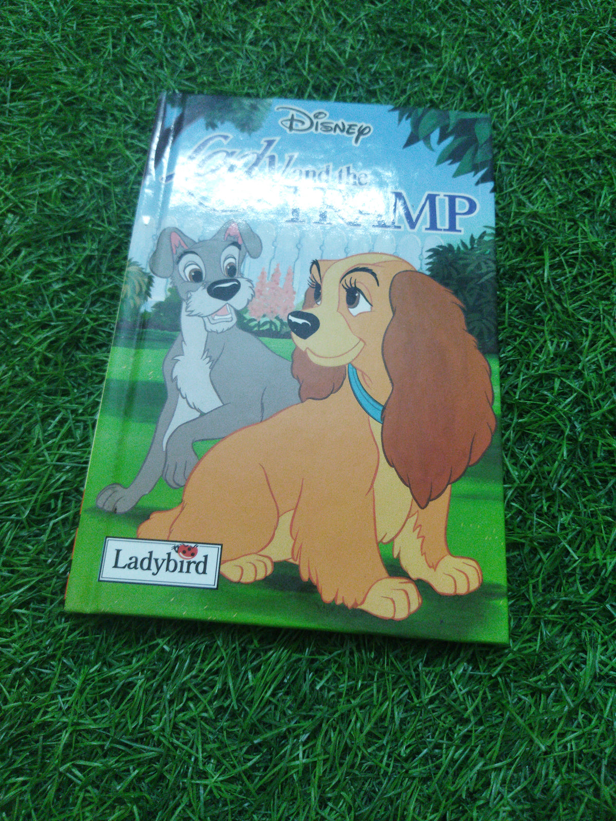 Disney Lady and the Tramp