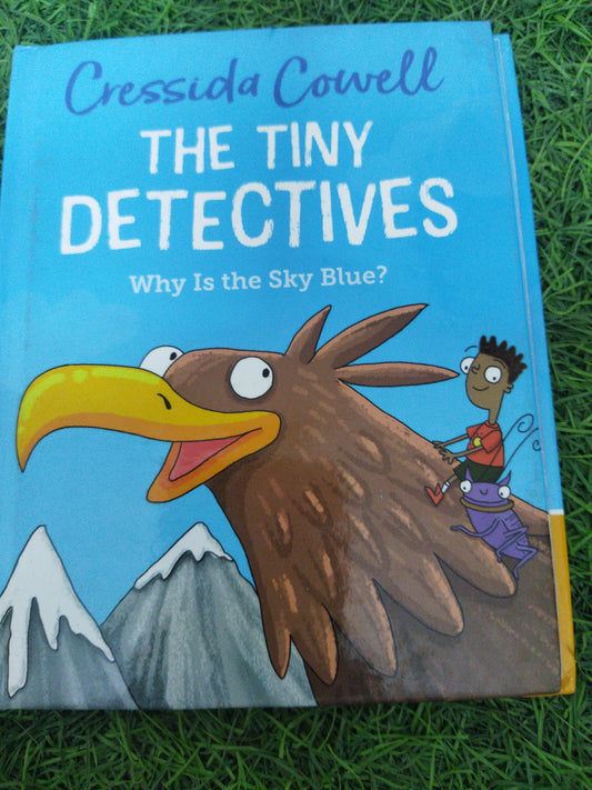 The Tiny Detectives Why Is The Sky Blue ?