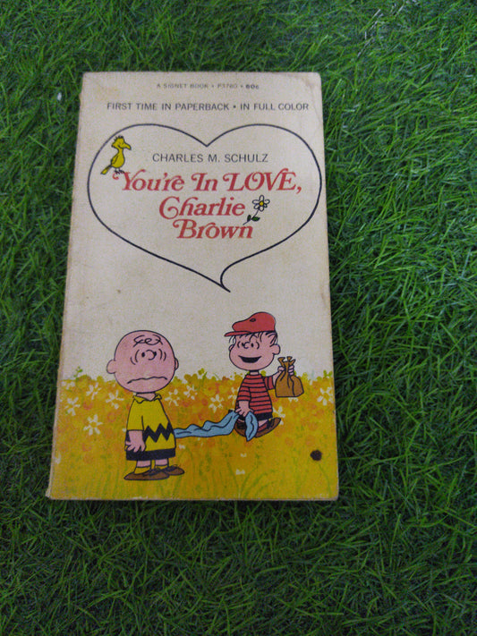 You're In Love Charlie Brown