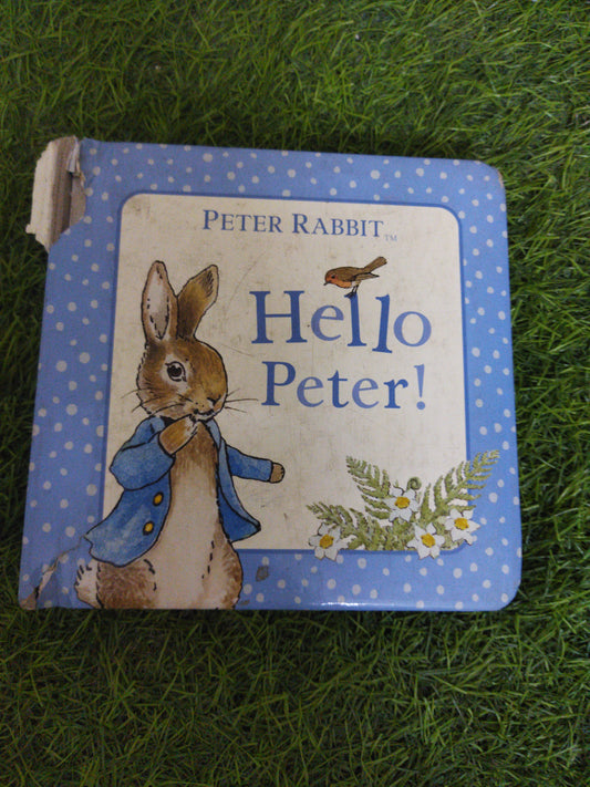 Peter Rabbit Hello Peter !