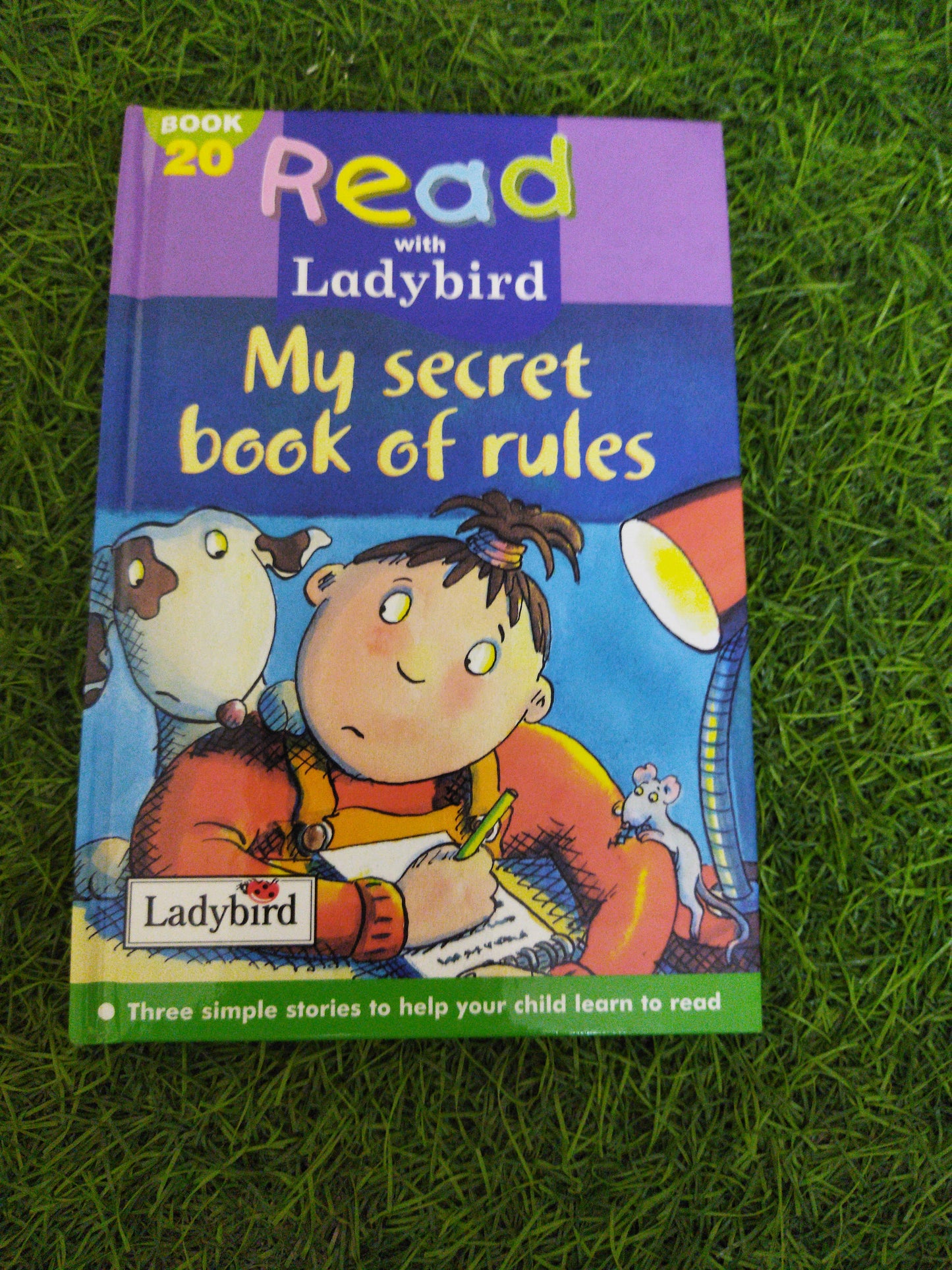 Read with Ladybird My Secret book of rules