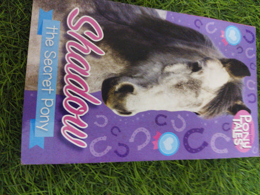 Shadow the secret Pony