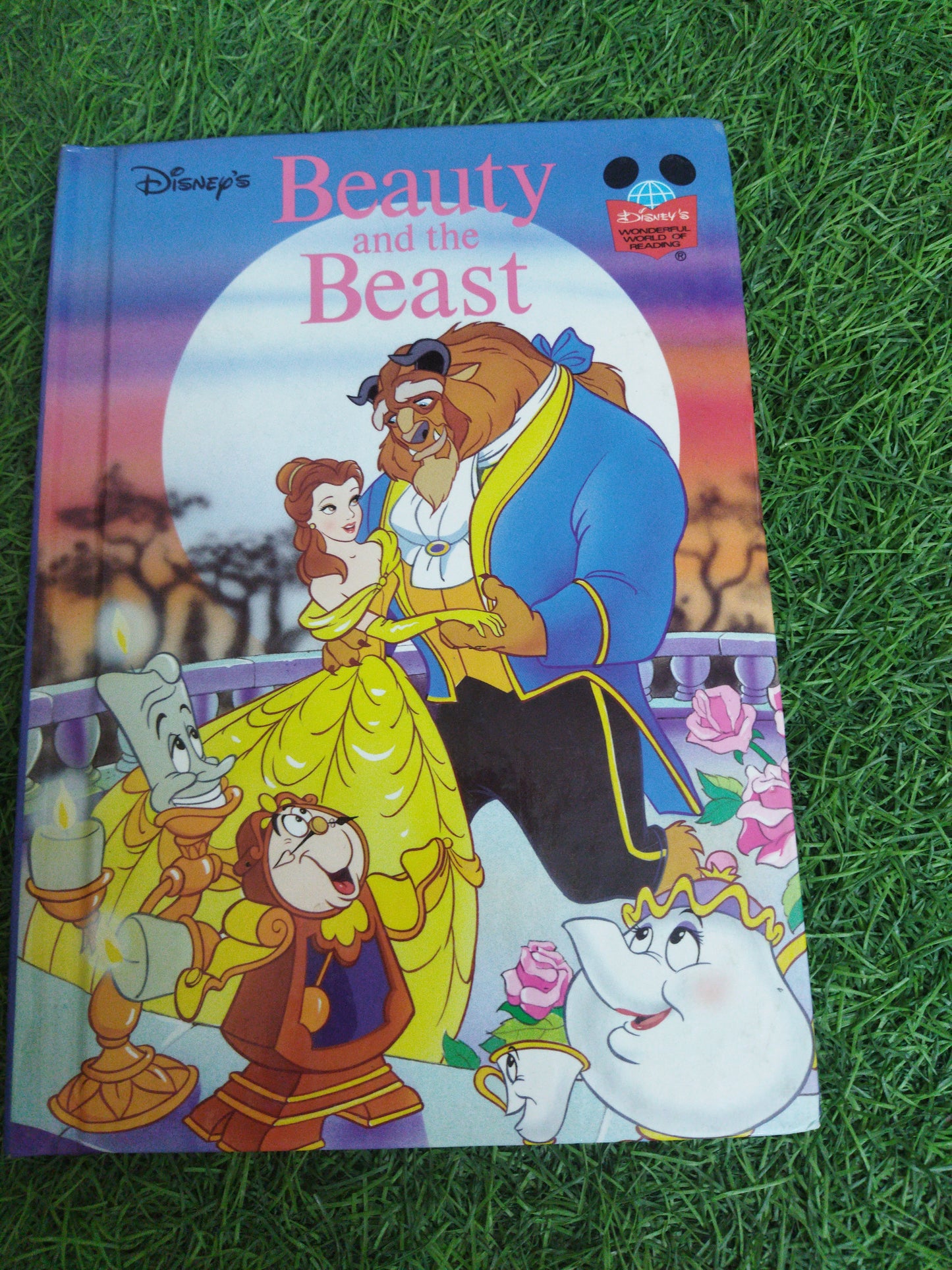 Dsney's Beauty and the Beast
