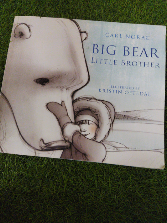 Big Bear Little Brother