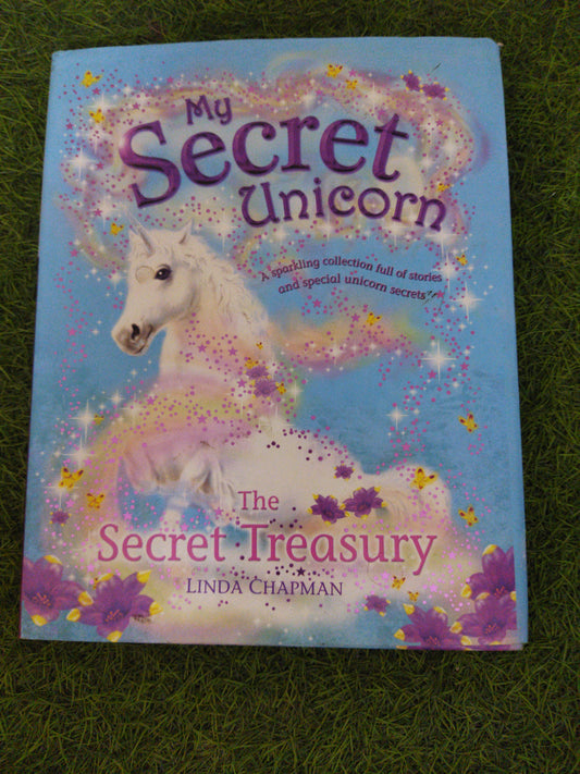 My  Secret Unicorn  The secret Treasury