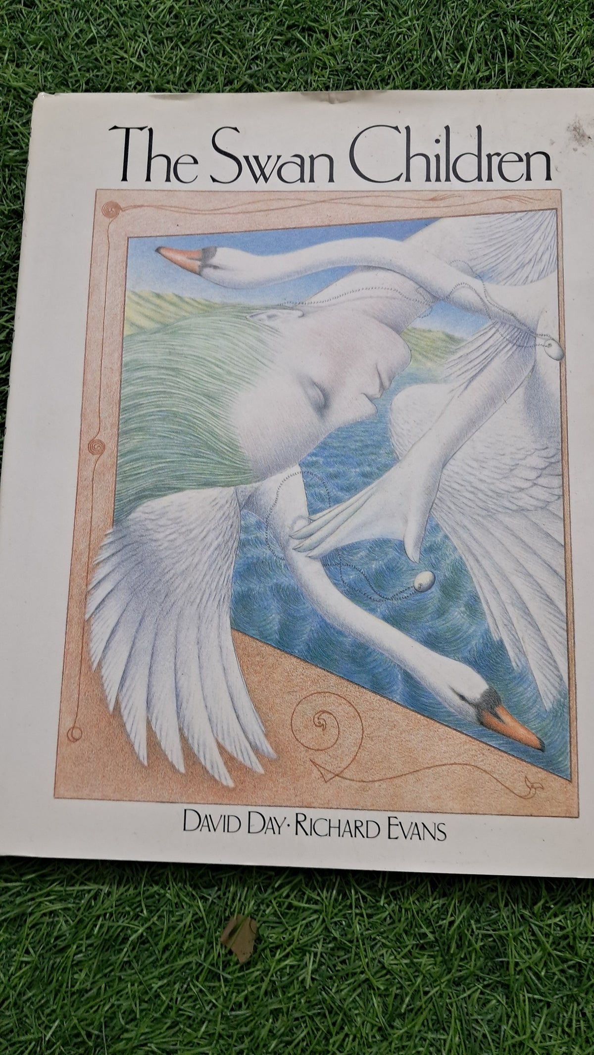 The Swan Children