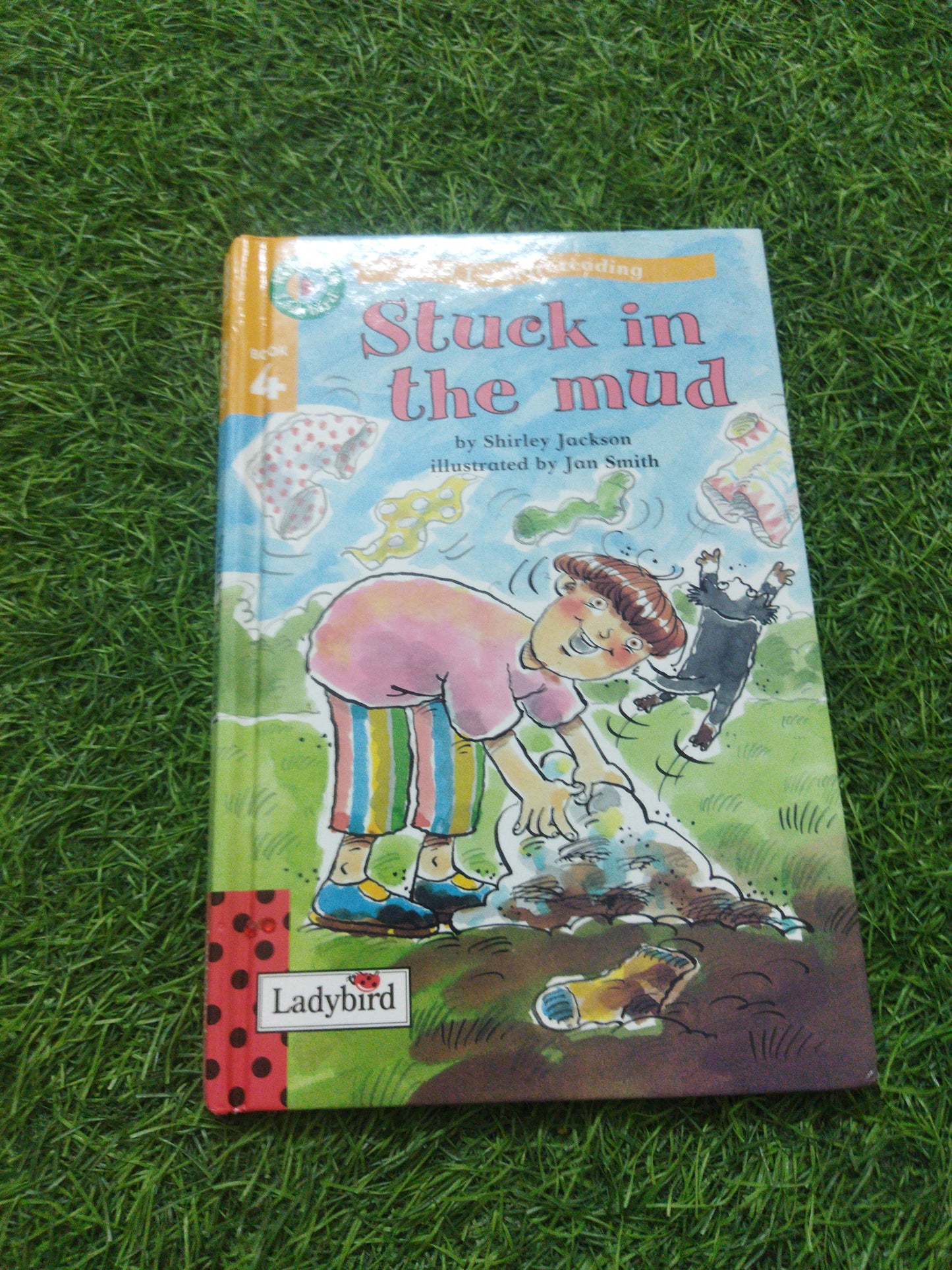 Stuck in the Mud