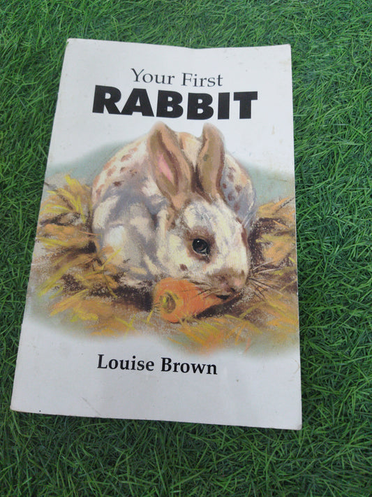 Your First Rabbit