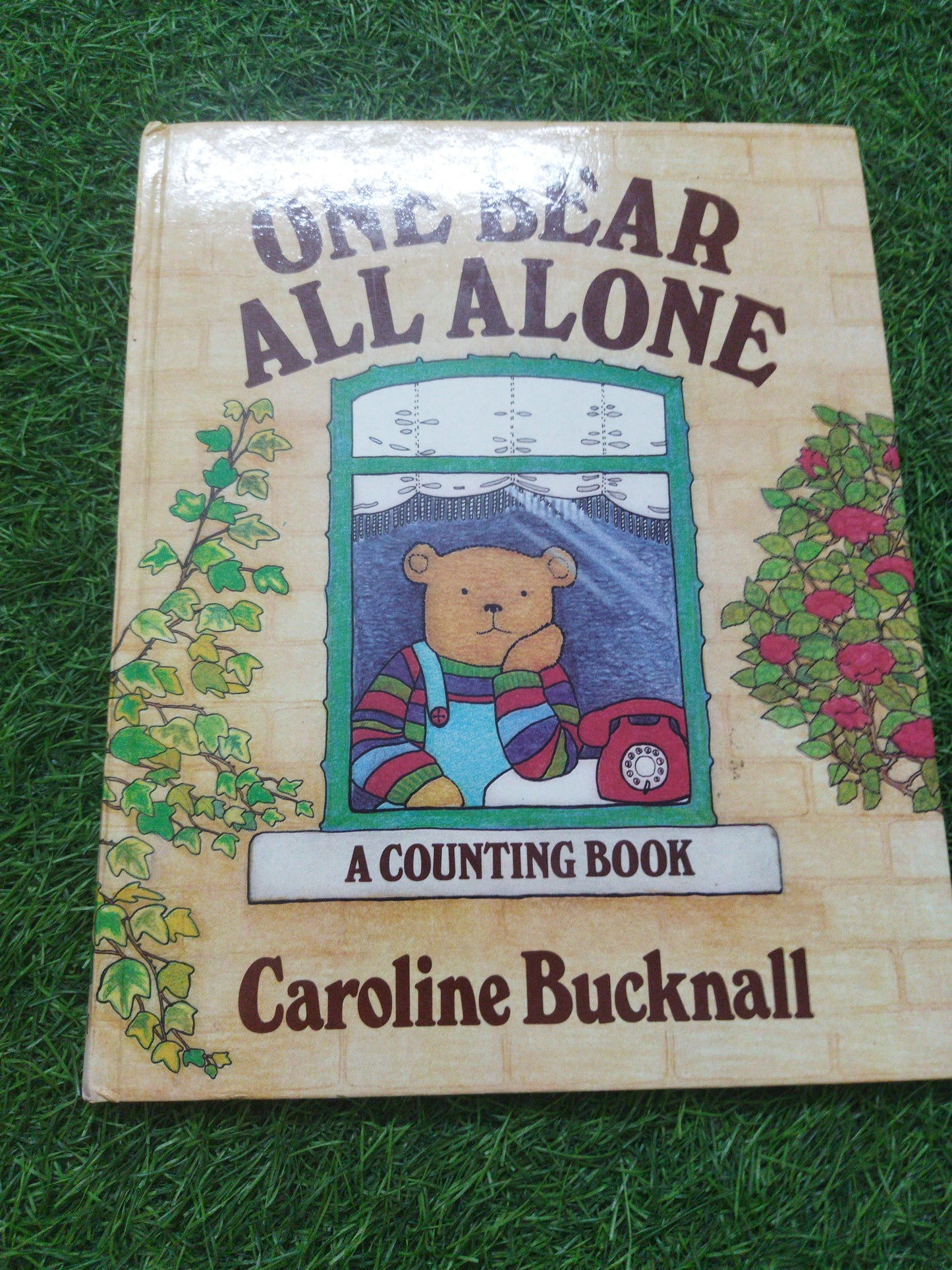 One Bear All Alone A Counting Book