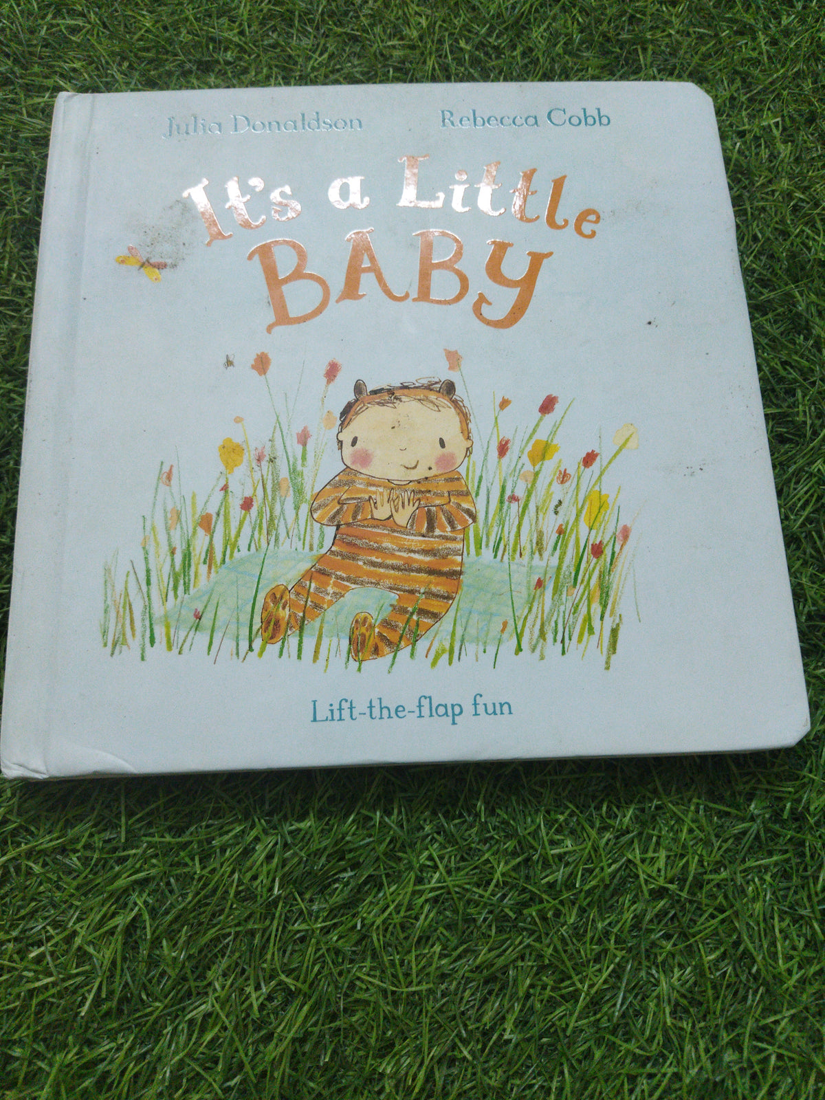 It's a little Baby  Lifdt-the-flapfun