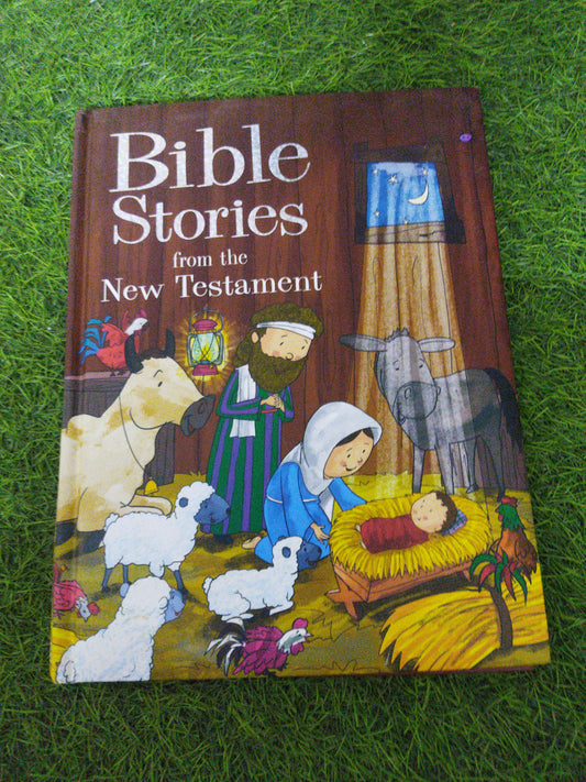Bible Stories from the Newe Testament