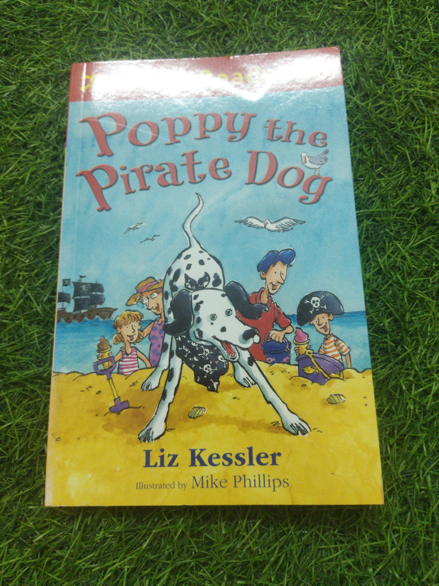 Poppy The Pirate Dog