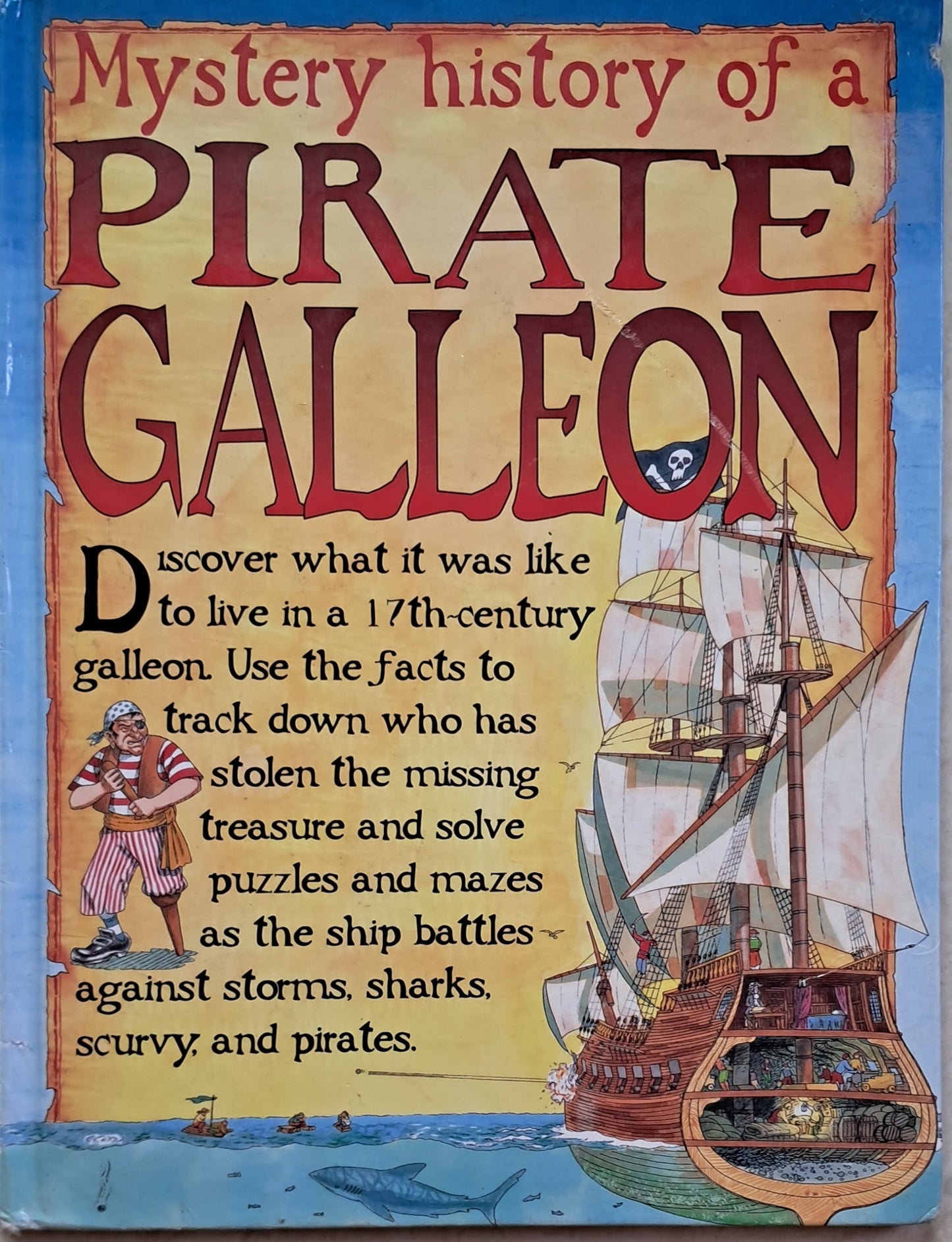Mystery history of a Pirate Galleon