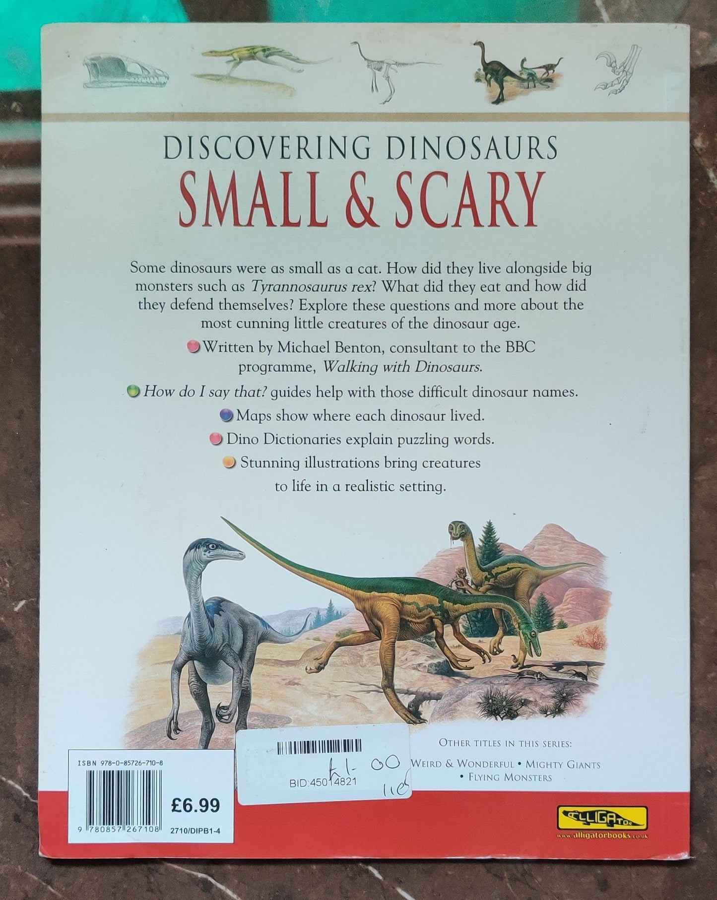 Discovering Dinosaurs Small & Scary | Paperback