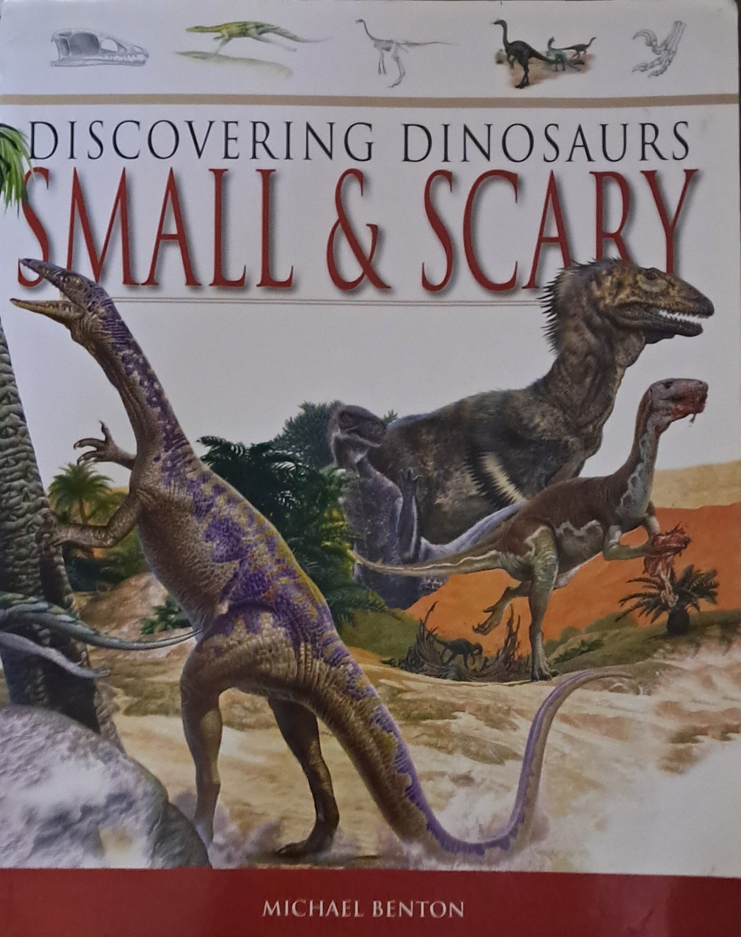 Discovering Dinosaurs Small & Scary | Paperback