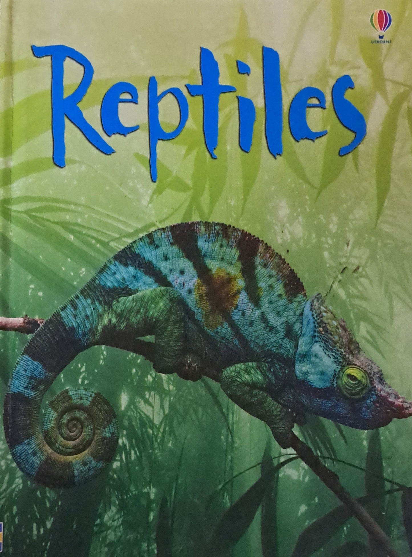 Reptiles | Hardcover
