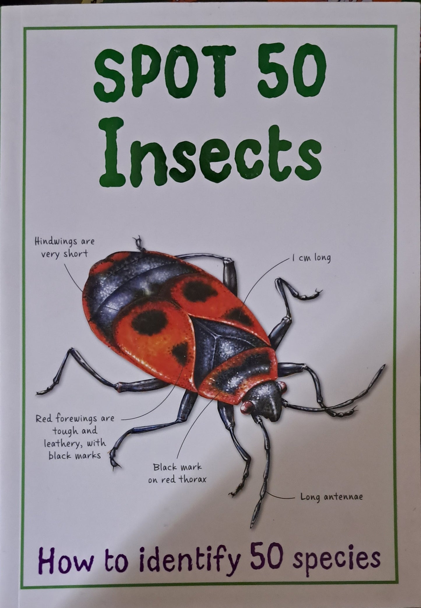 Spot 50 Insects | Paperback